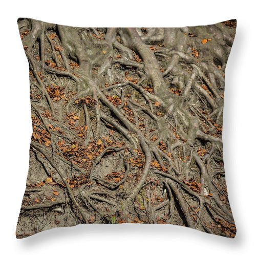 Trees' Roots - Throw Pillow