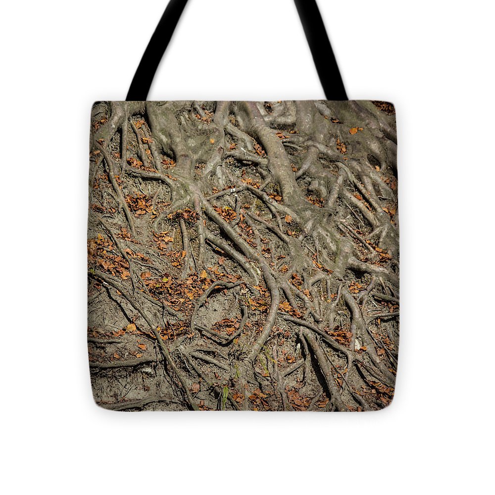 Trees' Roots - Tote Bag