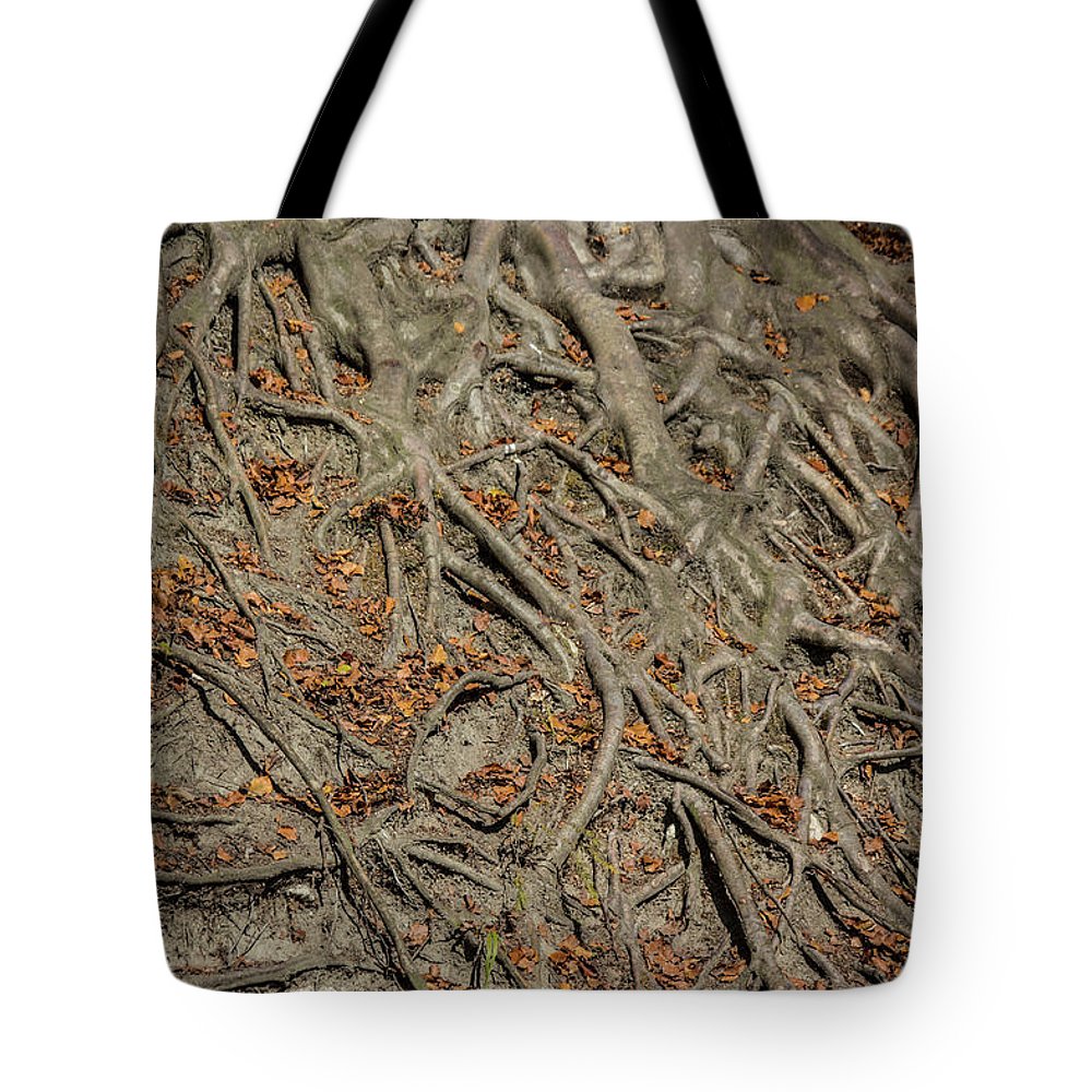 Trees' Roots - Tote Bag