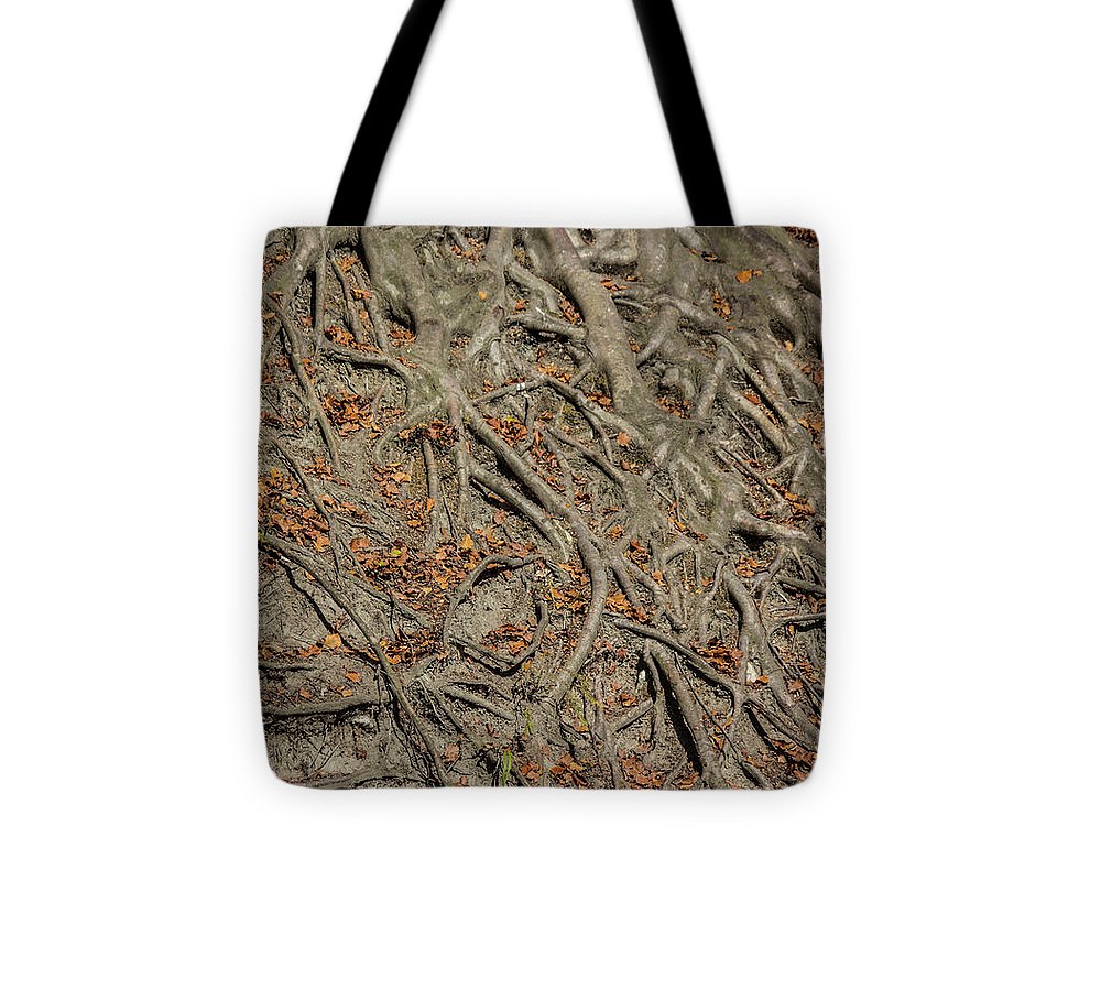 Trees' Roots - Tote Bag