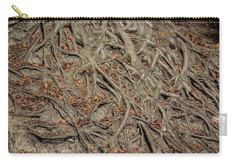Trees' Roots - Carry-All Pouch