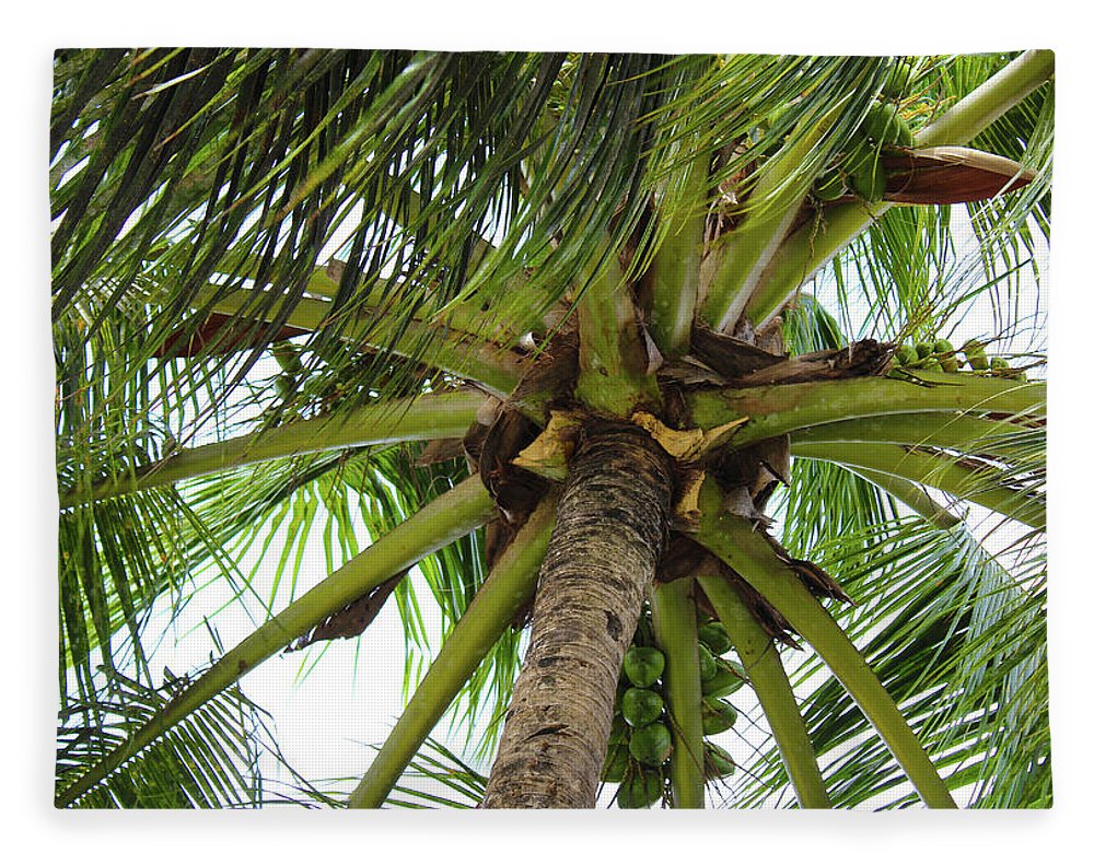 Under The Coconut Tree - Blanket