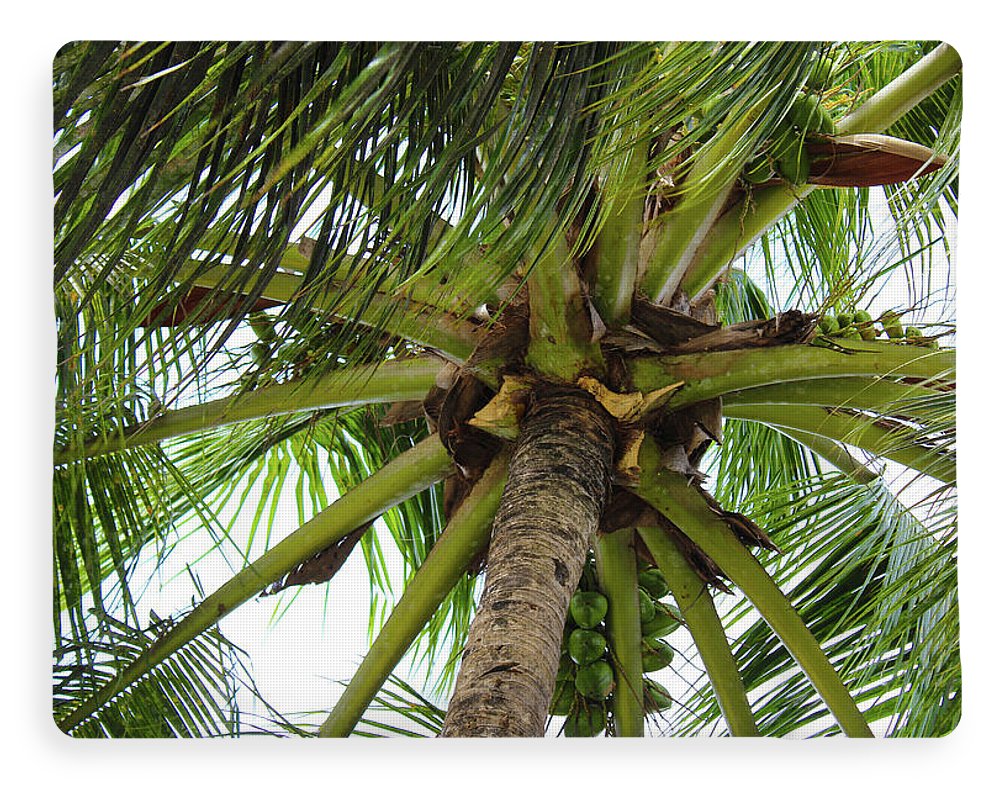 Under The Coconut Tree - Blanket