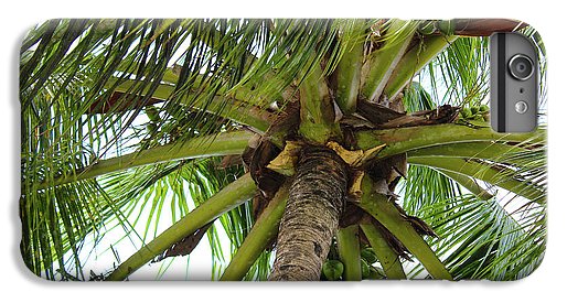 Under The Coconut Tree - Phone Case