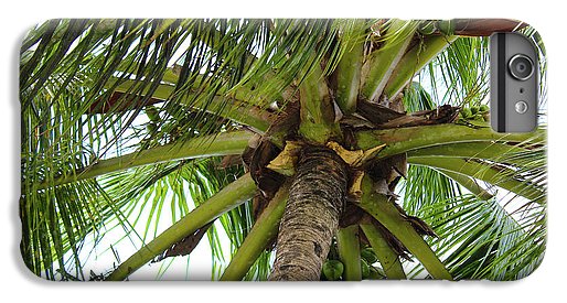 Under The Coconut Tree - Phone Case