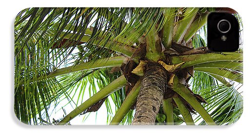 Under The Coconut Tree - Phone Case