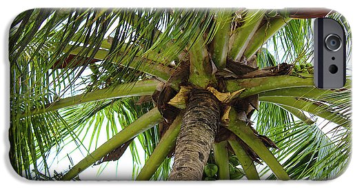 Under The Coconut Tree - Phone Case