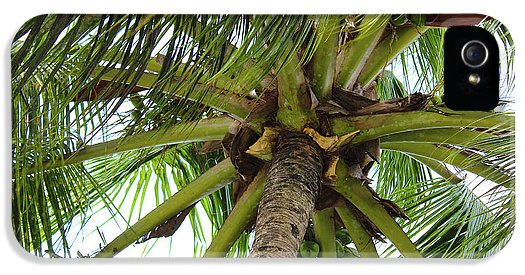 Under The Coconut Tree - Phone Case