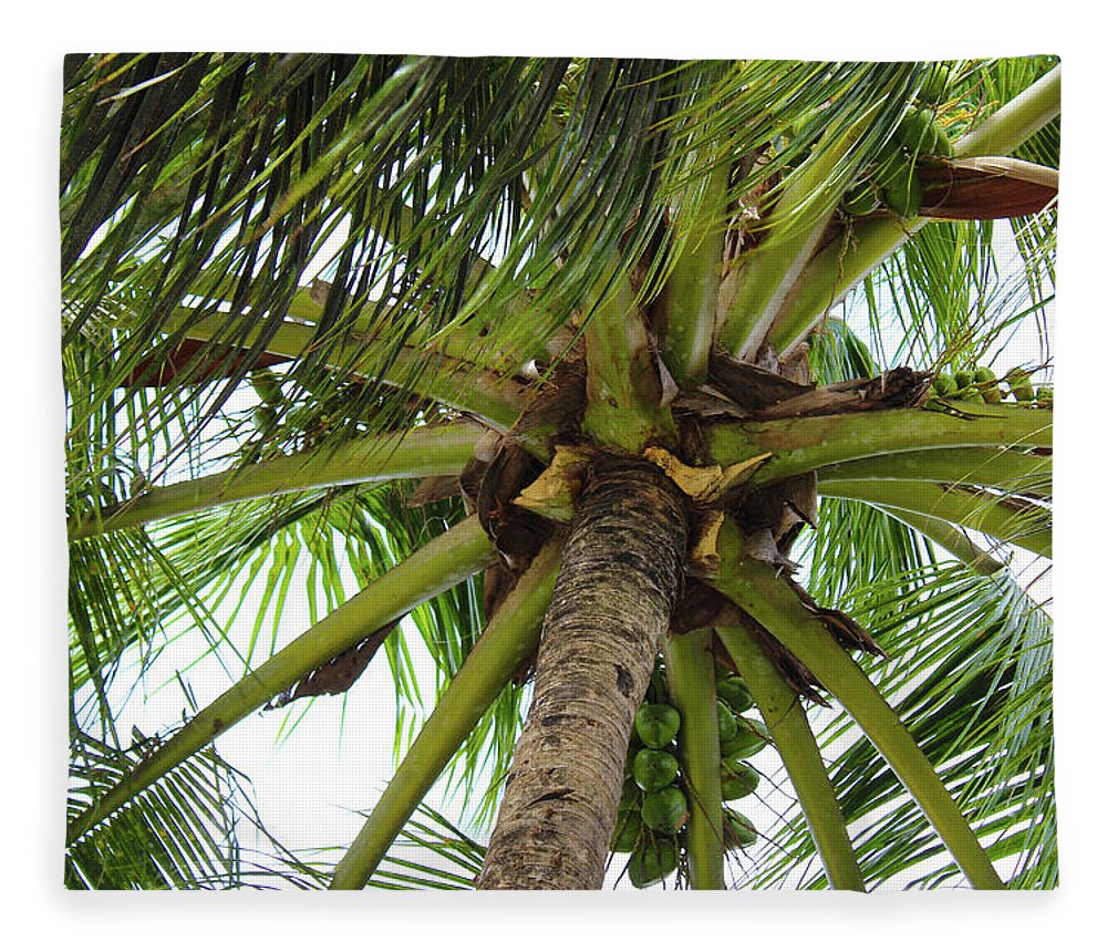 Under The Coconut Tree - Blanket