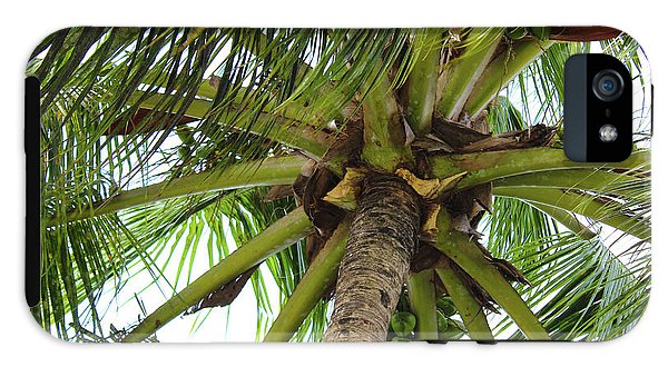 Under The Coconut Tree - Phone Case