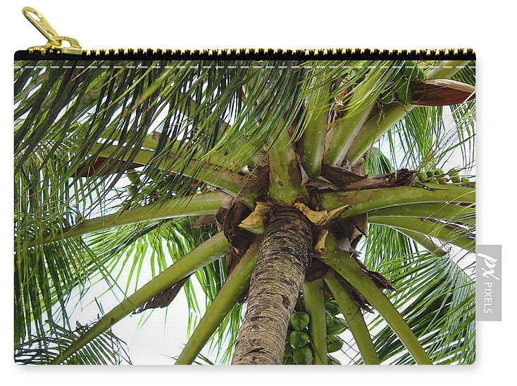 Under The Coconut Tree - Carry-All Pouch