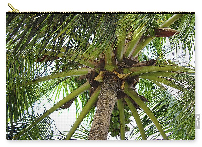 Under The Coconut Tree - Carry-All Pouch