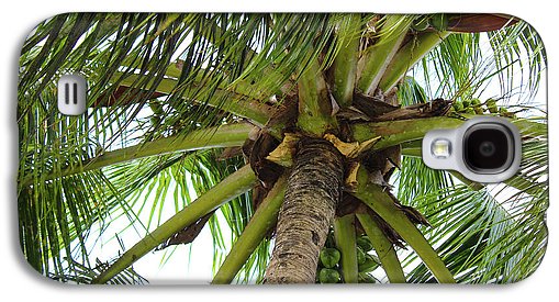 Under The Coconut Tree - Phone Case