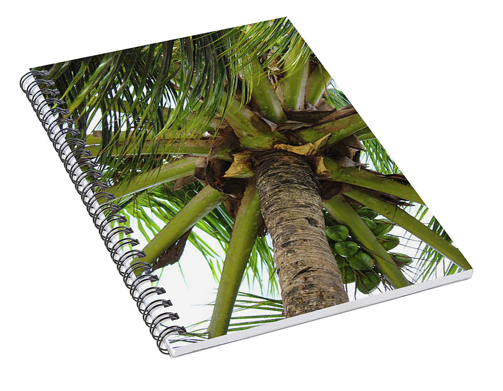 Under The Coconut Tree - Spiral Notebook
