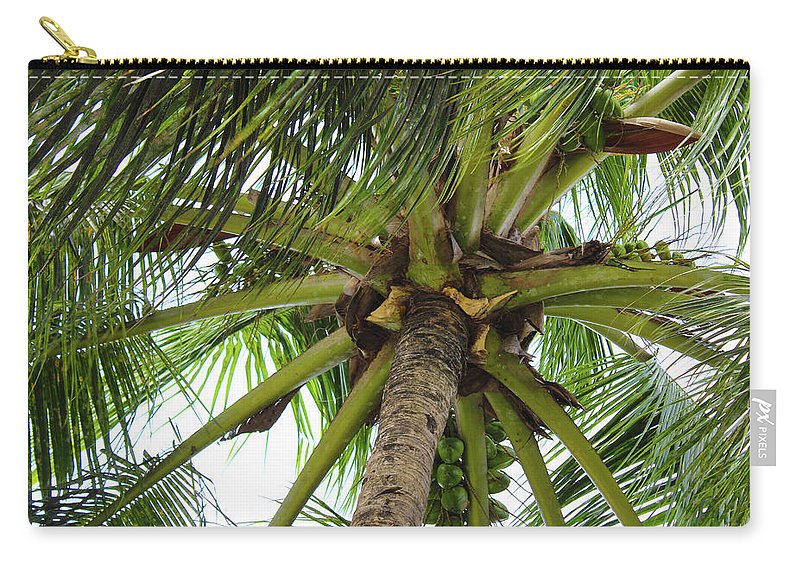 Under The Coconut Tree - Carry-All Pouch