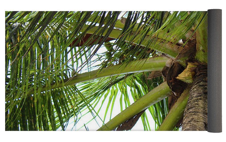 Under The Coconut Tree - Yoga Mat