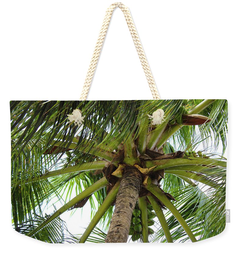 Under The Coconut Tree - Weekender Tote Bag