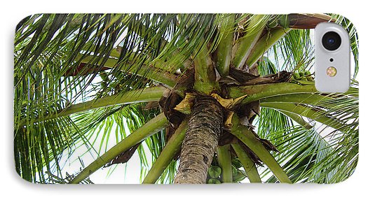 Under The Coconut Tree - Phone Case