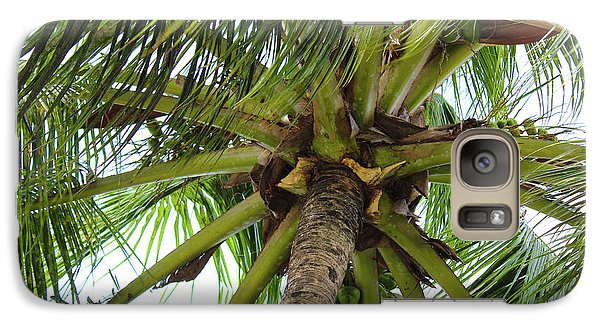 Under The Coconut Tree - Phone Case