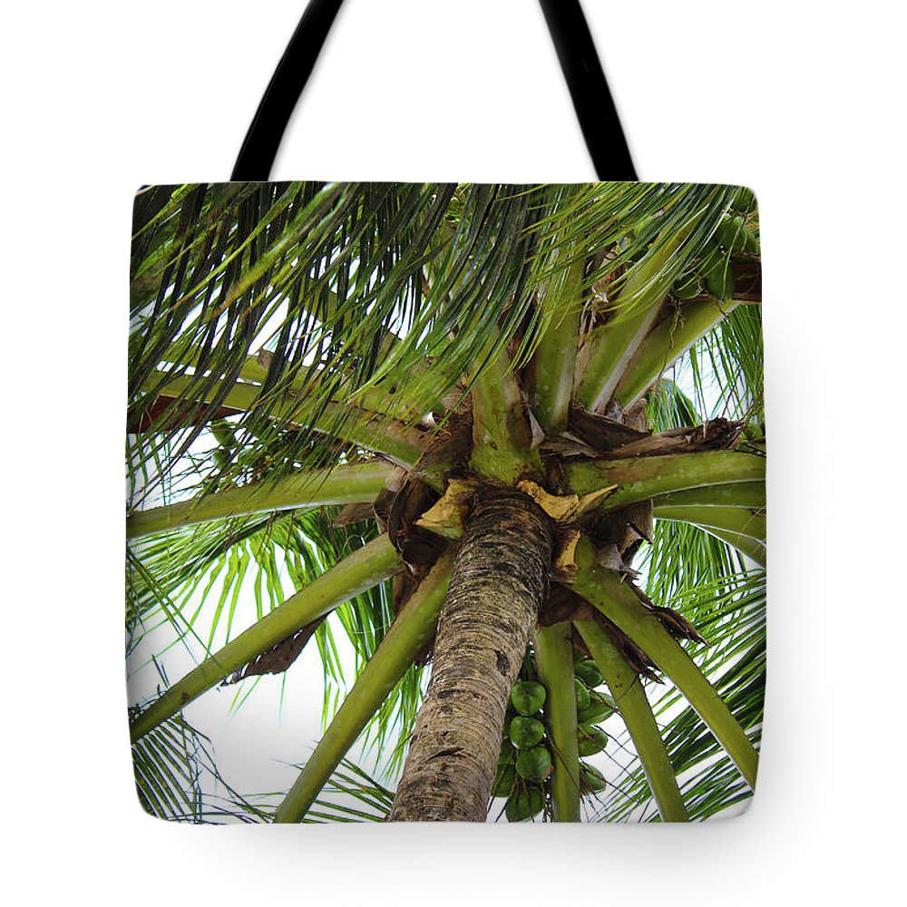 Under The Coconut Tree - Tote Bag