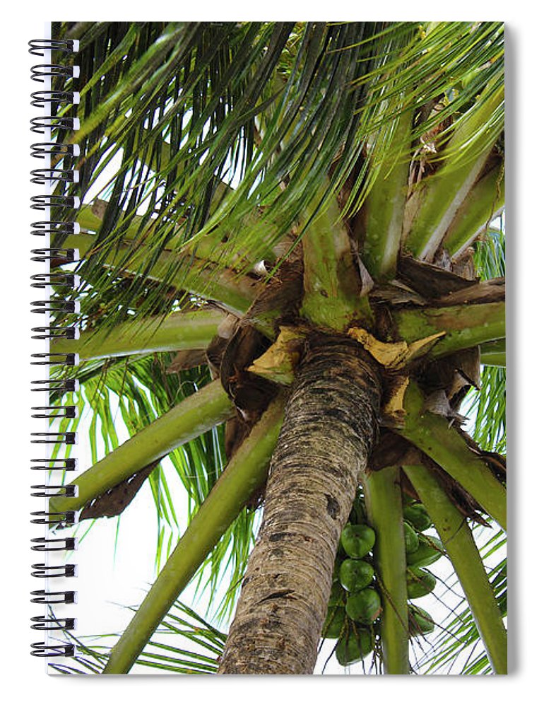 Under The Coconut Tree - Spiral Notebook