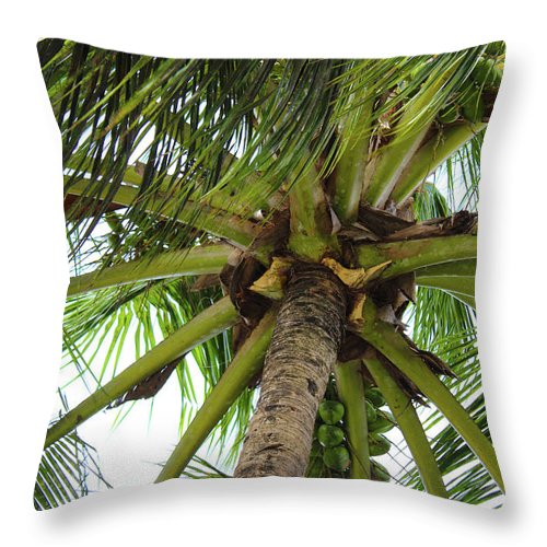 Under The Coconut Tree - Throw Pillow