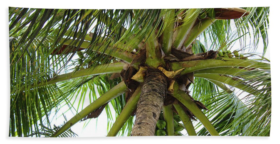 Under The Coconut Tree - Beach Towel