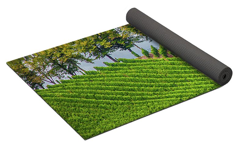 Vineyards In The Grand Duchy Of Luxembourg - Yoga Mat