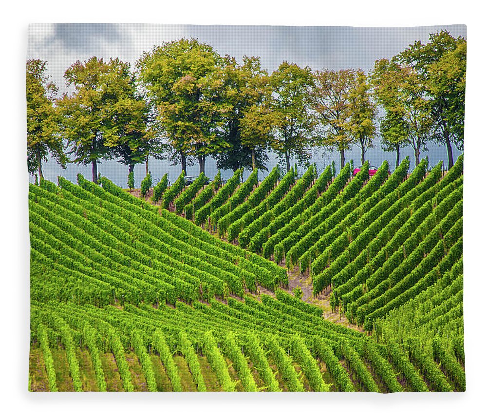 Vineyards In The Grand Duchy Of Luxembourg - Blanket