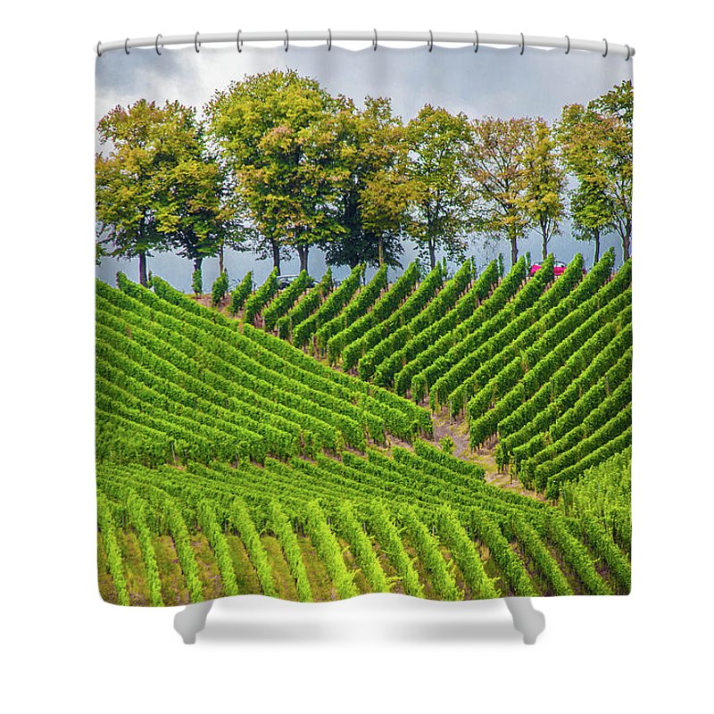 Vineyards In The Grand Duchy Of Luxembourg - Shower Curtain