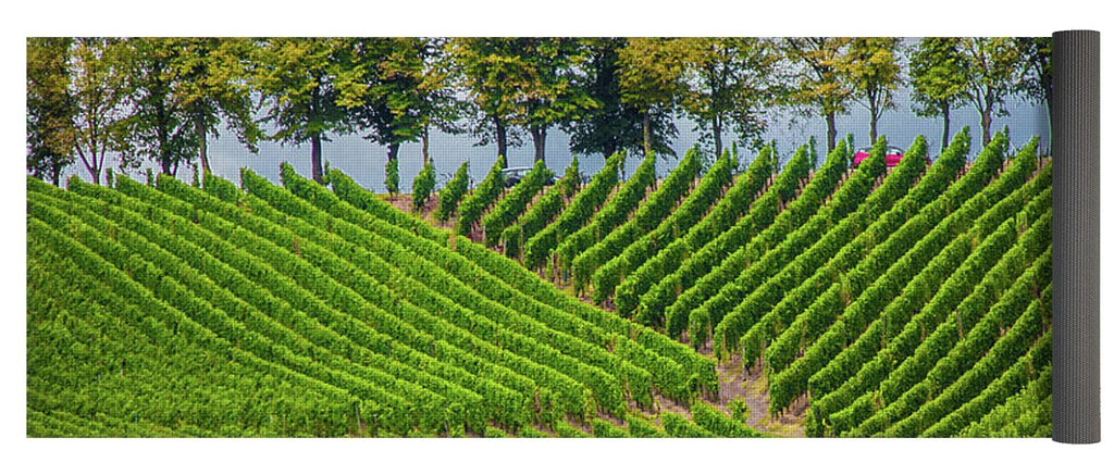 Vineyards In The Grand Duchy Of Luxembourg - Yoga Mat