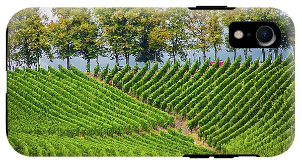 Vineyards In The Grand Duchy Of Luxembourg - Phone Case