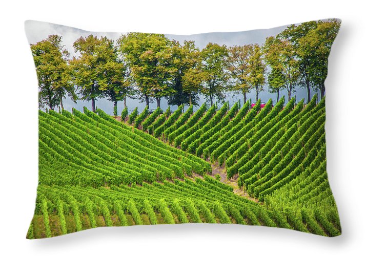 Vineyards In The Grand Duchy Of Luxembourg - Throw Pillow