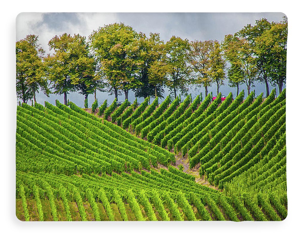 Vineyards In The Grand Duchy Of Luxembourg - Blanket