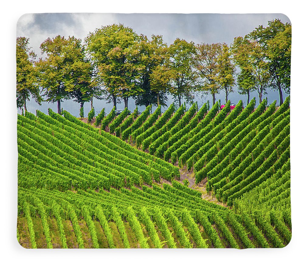 Vineyards In The Grand Duchy Of Luxembourg - Blanket