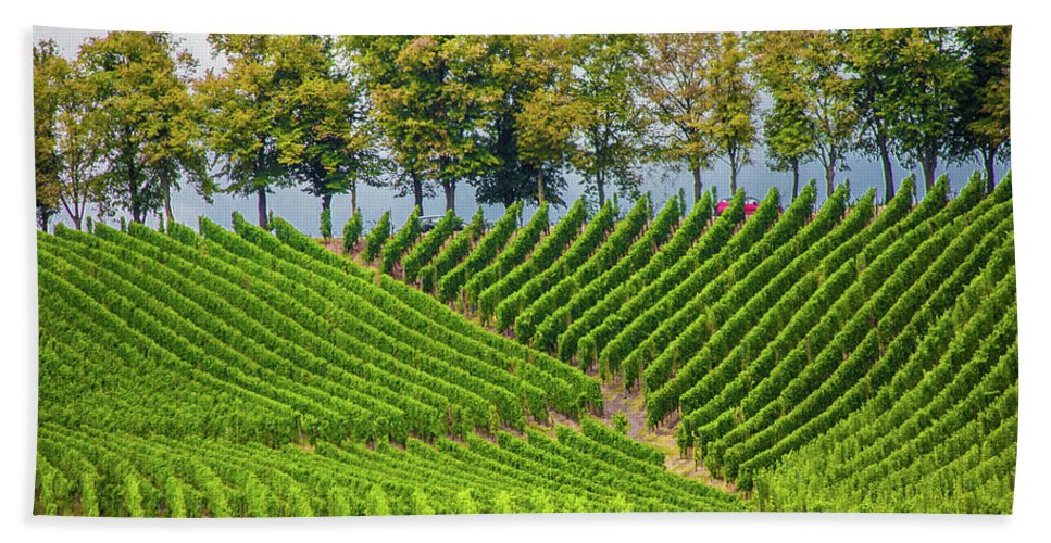 Vineyards In The Grand Duchy Of Luxembourg - Beach Towel