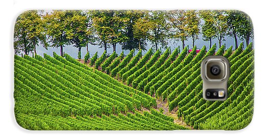 Vineyards In The Grand Duchy Of Luxembourg - Phone Case