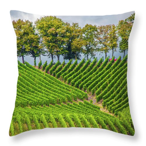 Vineyards In The Grand Duchy Of Luxembourg - Throw Pillow