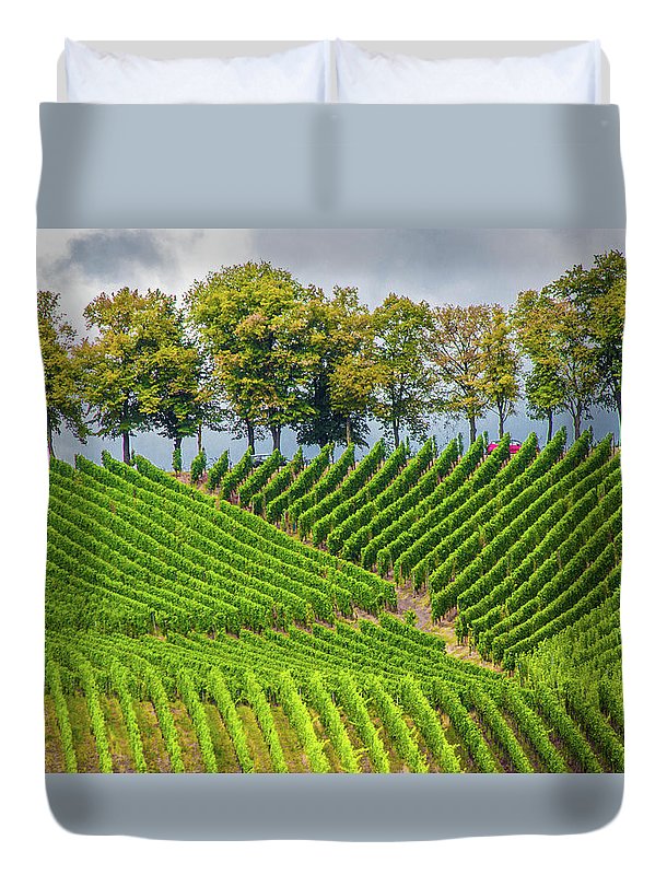 Vineyards In The Grand Duchy Of Luxembourg - Duvet Cover