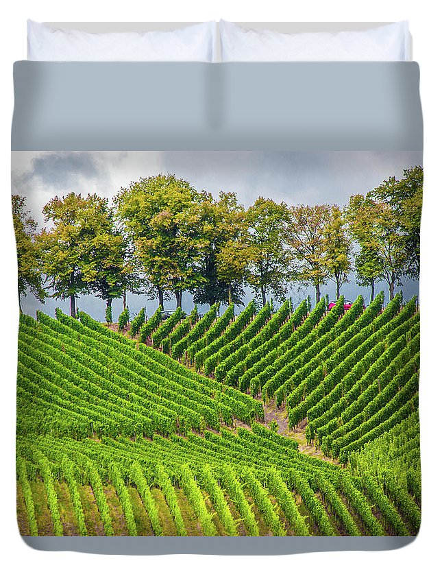 Vineyards In The Grand Duchy Of Luxembourg - Duvet Cover