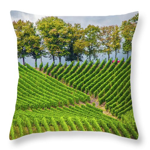 Vineyards In The Grand Duchy Of Luxembourg - Throw Pillow