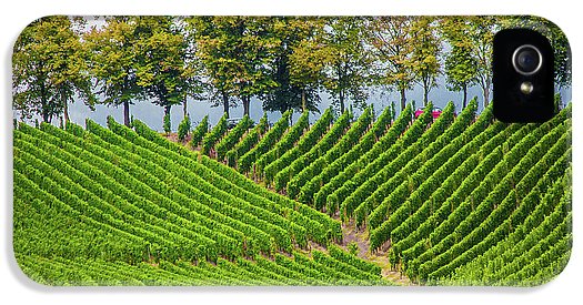 Vineyards In The Grand Duchy Of Luxembourg - Phone Case