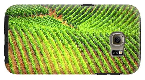 Vineyards  - Phone Case