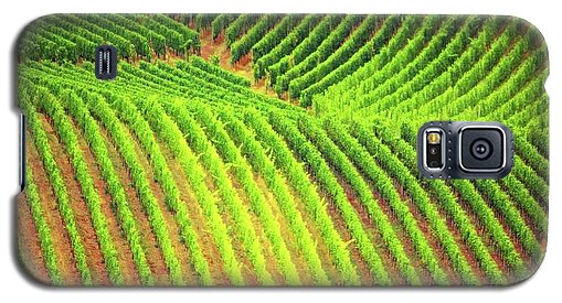 Vineyards  - Phone Case