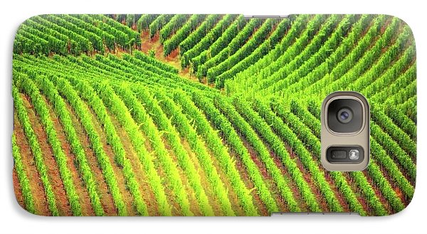 Vineyards  - Phone Case