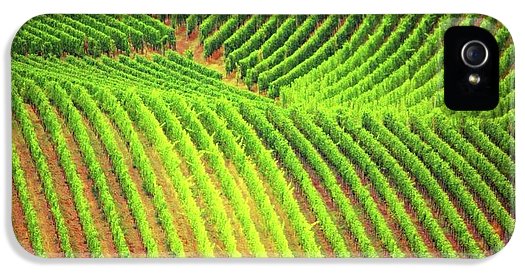 Vineyards  - Phone Case