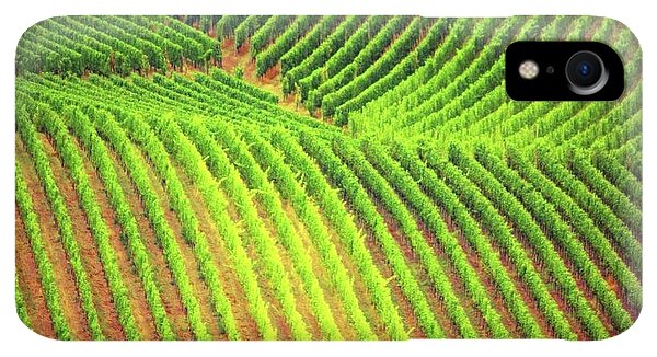 Vineyards  - Phone Case