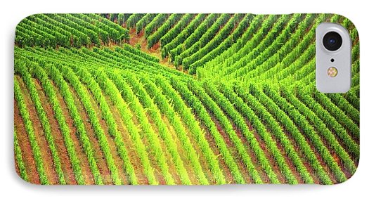 Vineyards  - Phone Case