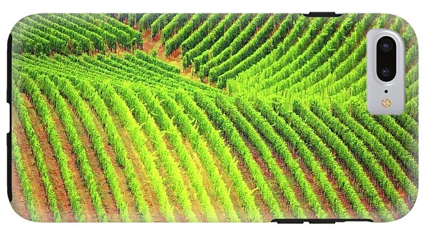 Vineyards  - Phone Case