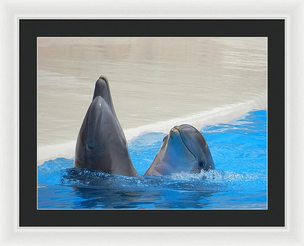 When Dolphins Dance - Framed Print